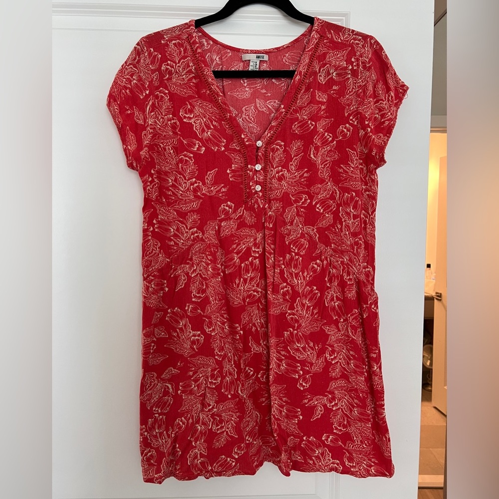 Amuse society dress